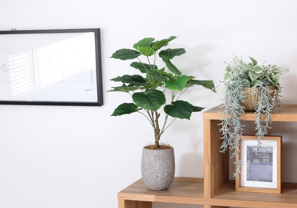 玄関・エントランス