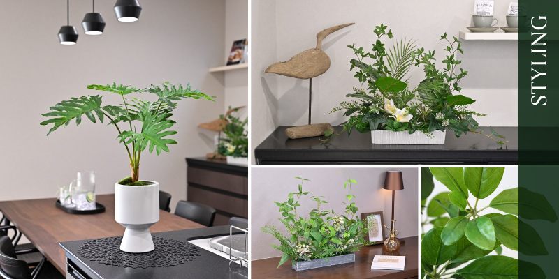 観葉植物が主役。おしゃれな抜け感スタイル