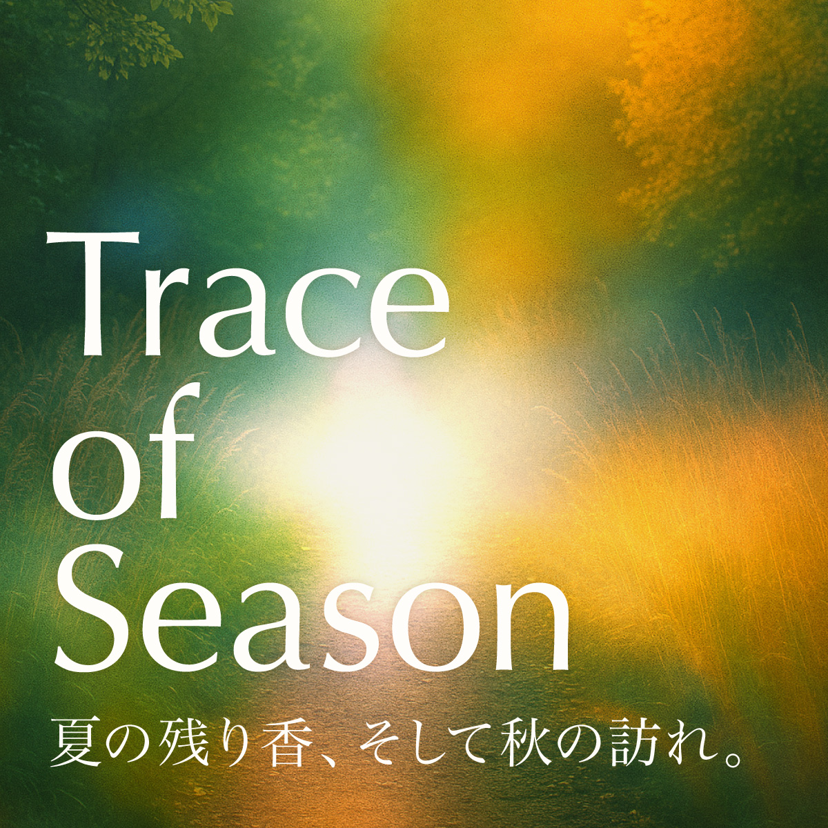 秋コレクション「Trace of Season」