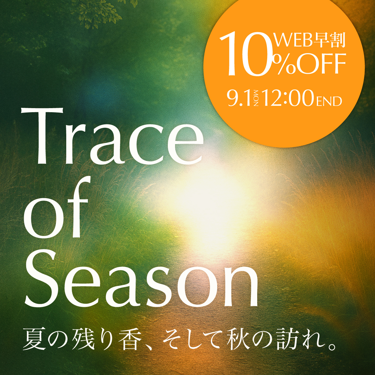 《WEB早割10%OFF》秋コレクション「Trace of Season」