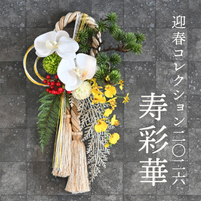 《好評販売中》迎春コレクション2026「寿彩華 JUSAIKA」
