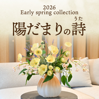 《新入荷》春コレクション第1弾「陽だまりの詩」
