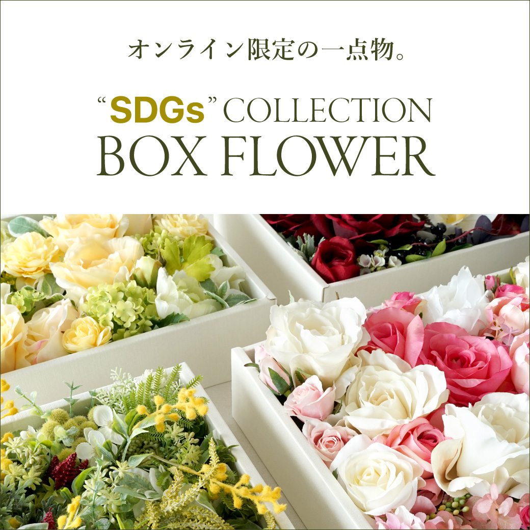 SDGsコレクション「BOX FLOWER」