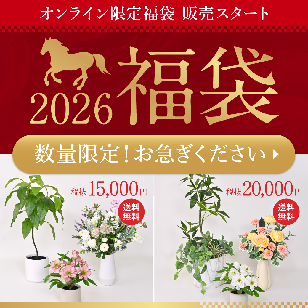 《数量限定》オンライン限定福袋 発売