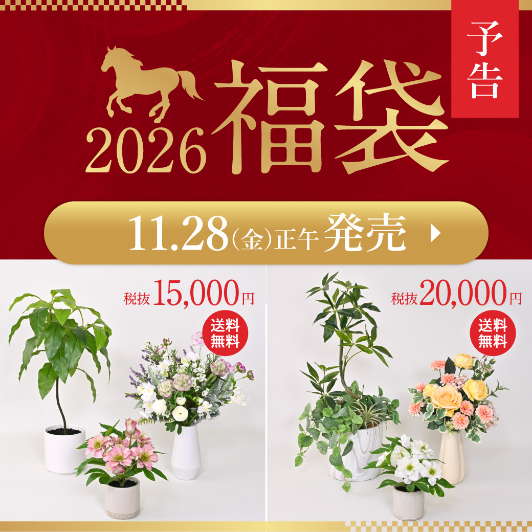 《予告》オンライン限定福袋 11/28(金)正午発売