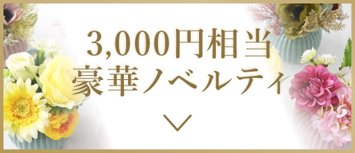 3,000円相当豪華ノベルティはこちら
