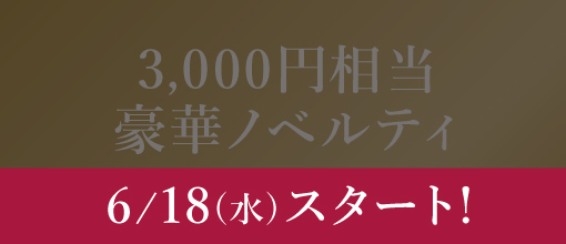 3,000円相当豪華ノベルティはこちら