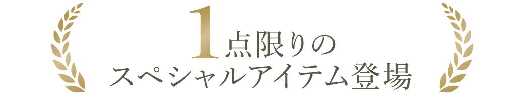 1点限りのスペシャルアイテム