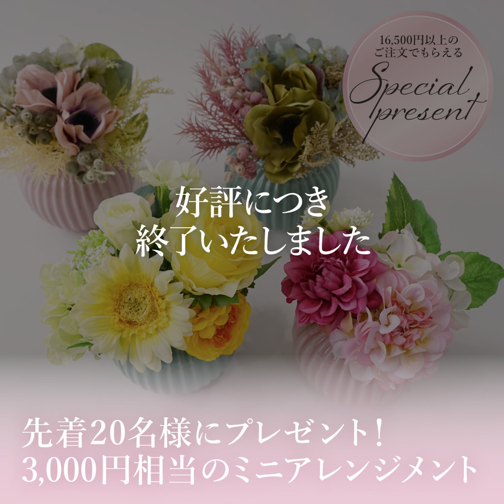 3,000円相当の豪華ノベルティ