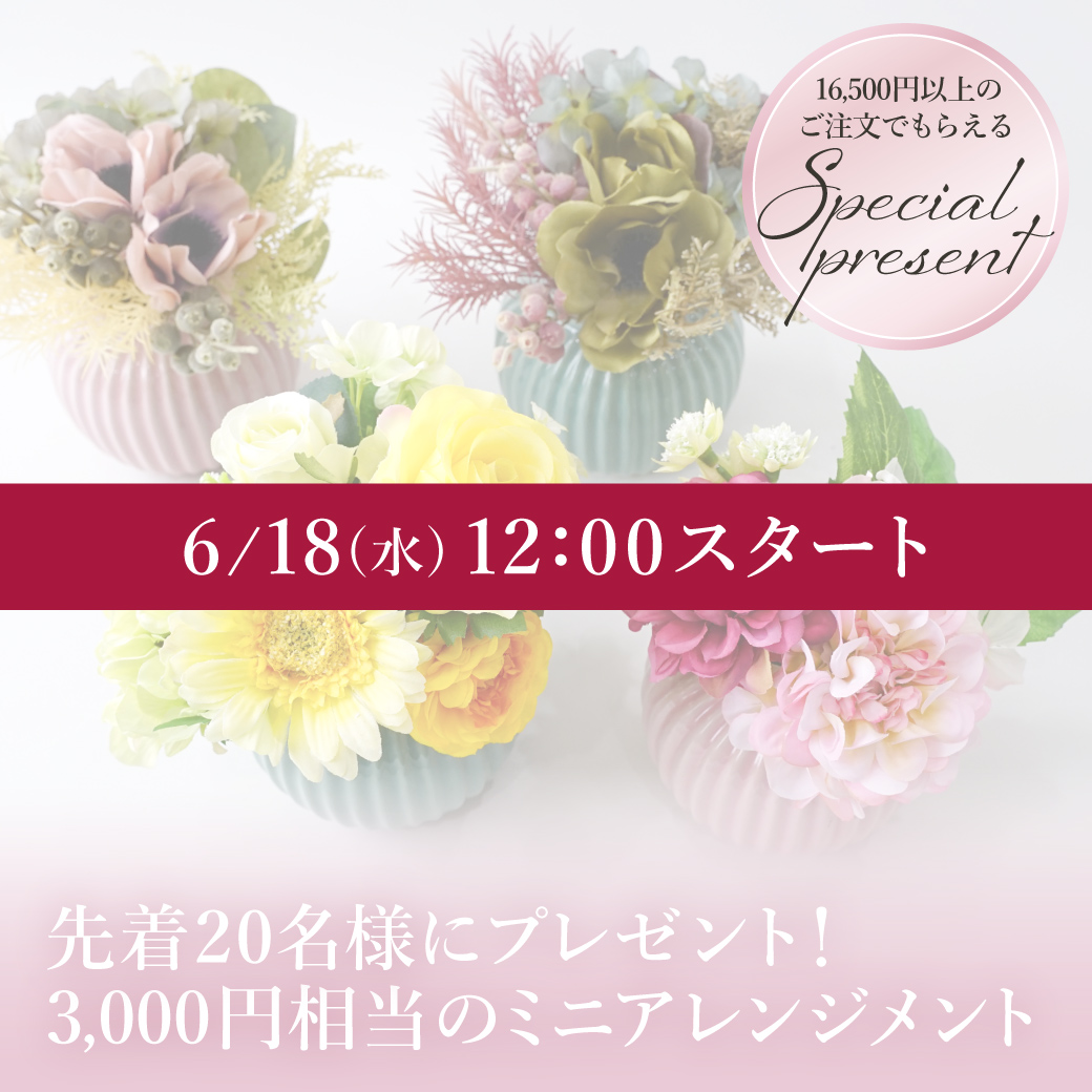 3,000円相当の豪華ノベルティ