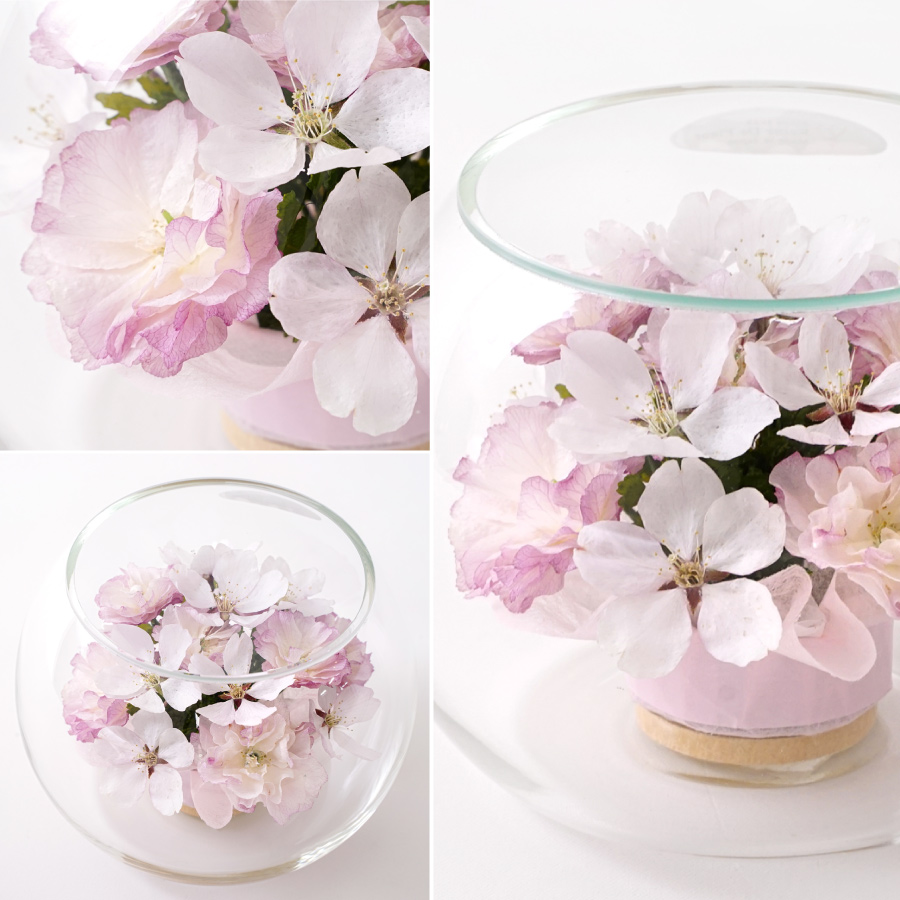 桜 ボトルフラワー[70]