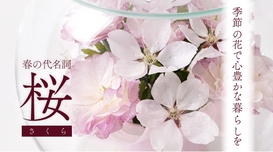 桜特集のメイン画像
