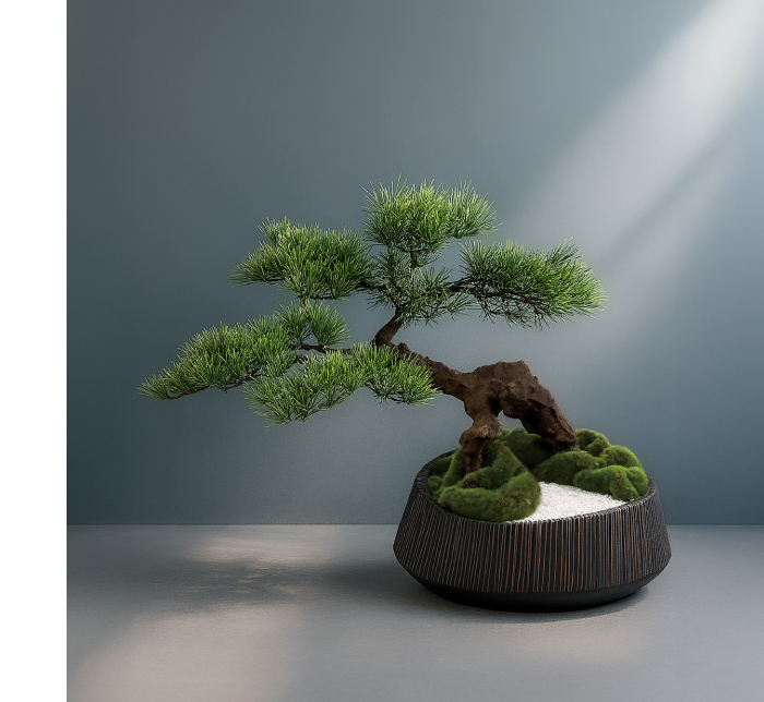 盆景美 イメージ画像3