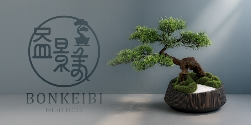 盆景美コレクション