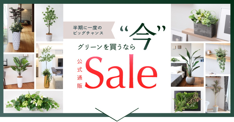 グリーンを買うなら今がお得！