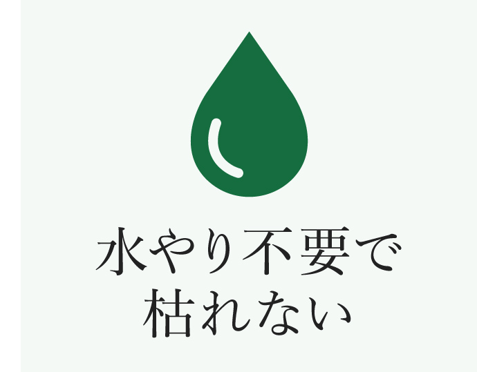フェイクグリーンは水やり不要で枯れる心配なし！