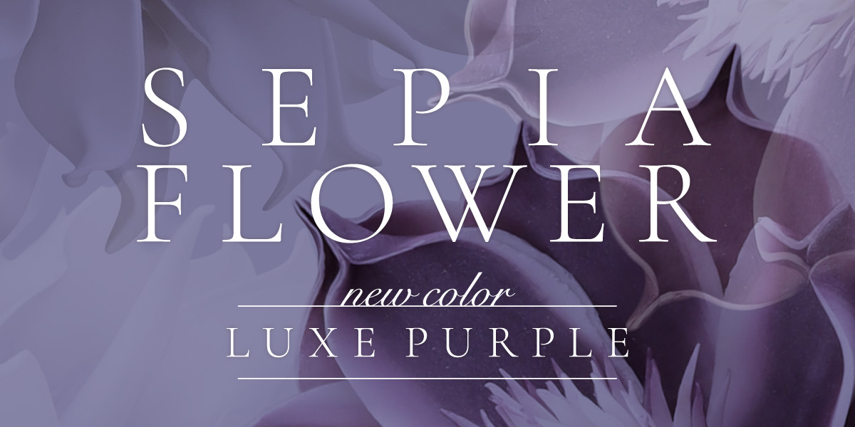 セピアフラワーコレクション特集