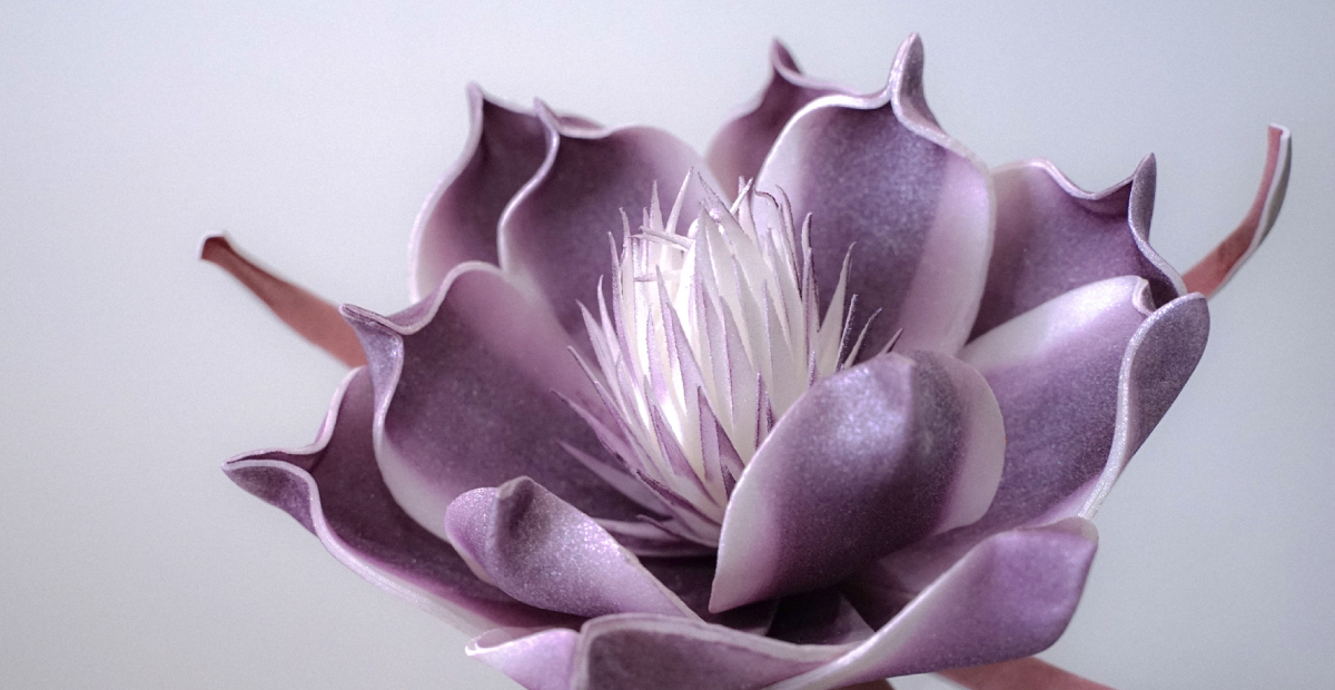 パープルフラワー 花のアップ