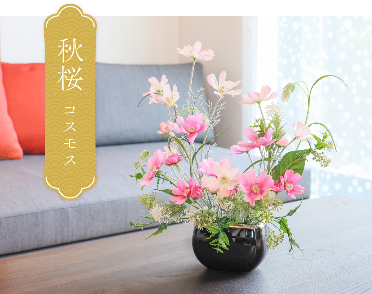 季節の花 コスモス