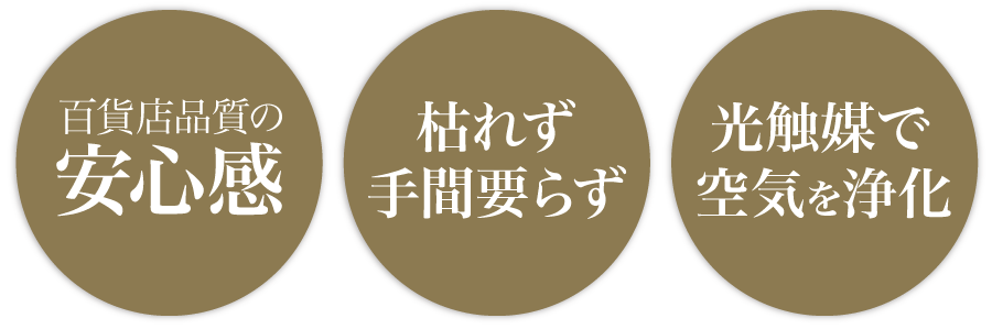 はくらん3つのメリット