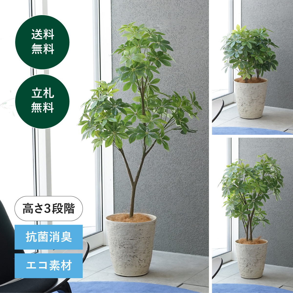 あらゆる業種におすすめ 3WAYシェフレラ