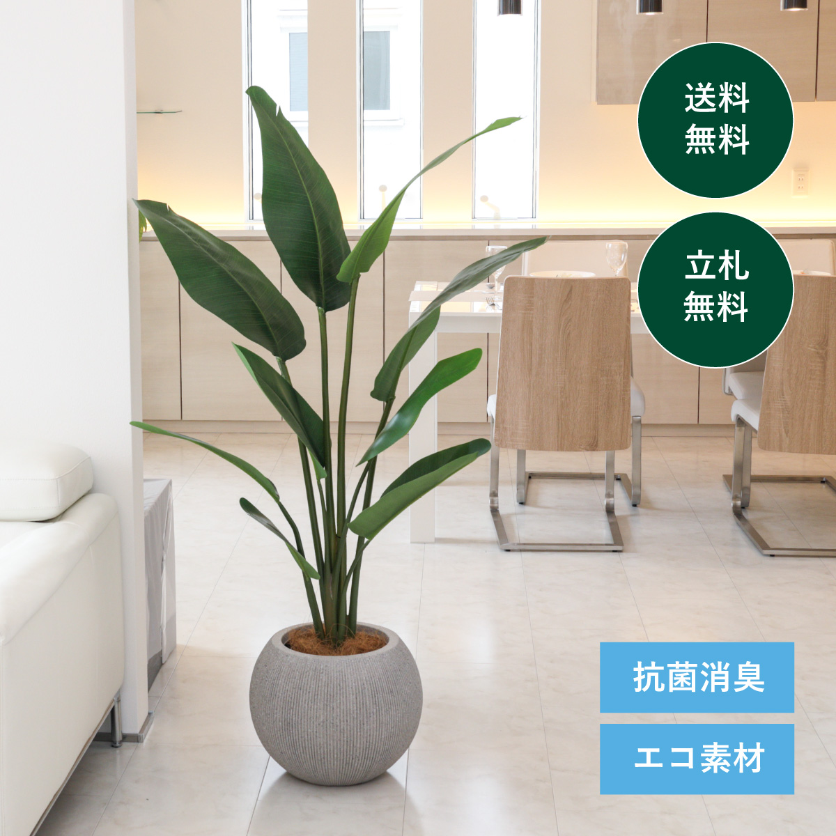 クリニック・病院におすすめ オーガスタ