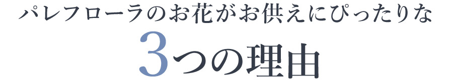 パレフローラのお花が仏花にぴったりな3つの理由