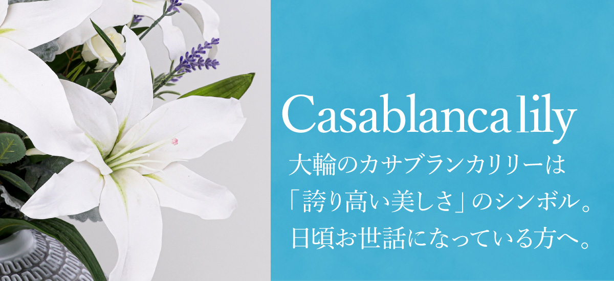 夏ギフトに人気の花「カサブランカリリー」
