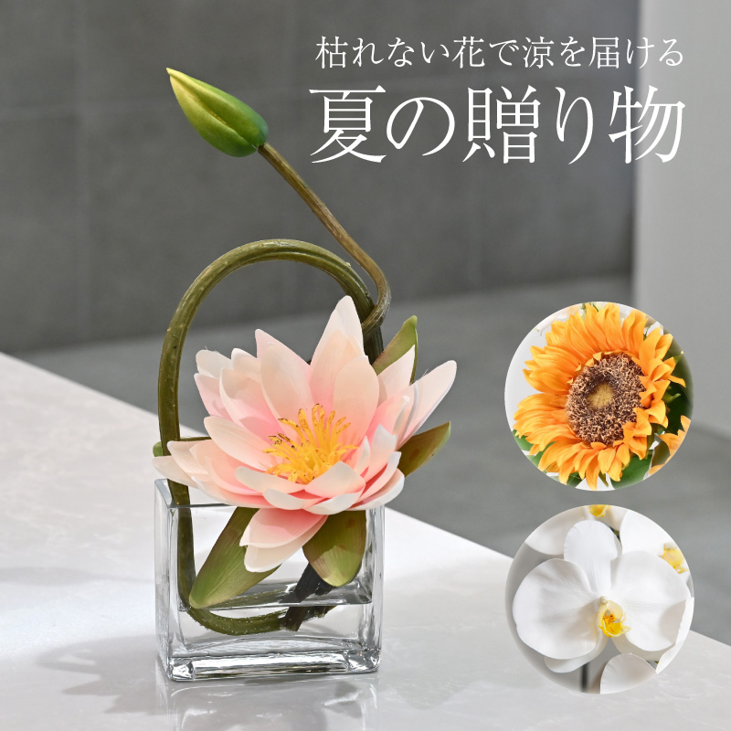 人気のお中元・夏ギフト特集2025