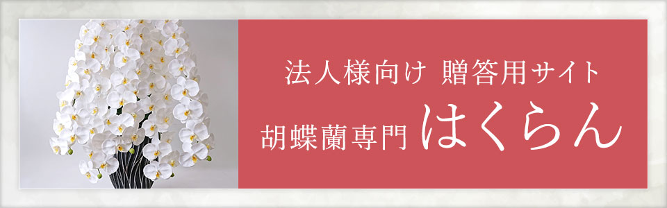法人向け贈答サイト 胡蝶蘭専門はくらん
