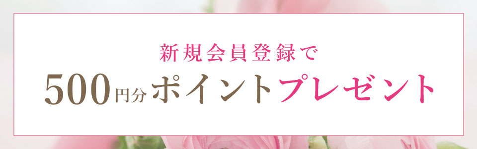 新規会員登録で500ポイントプレゼント