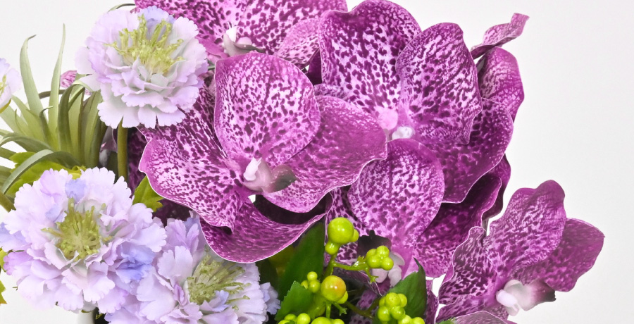 バンダオーキッドのアップ画像