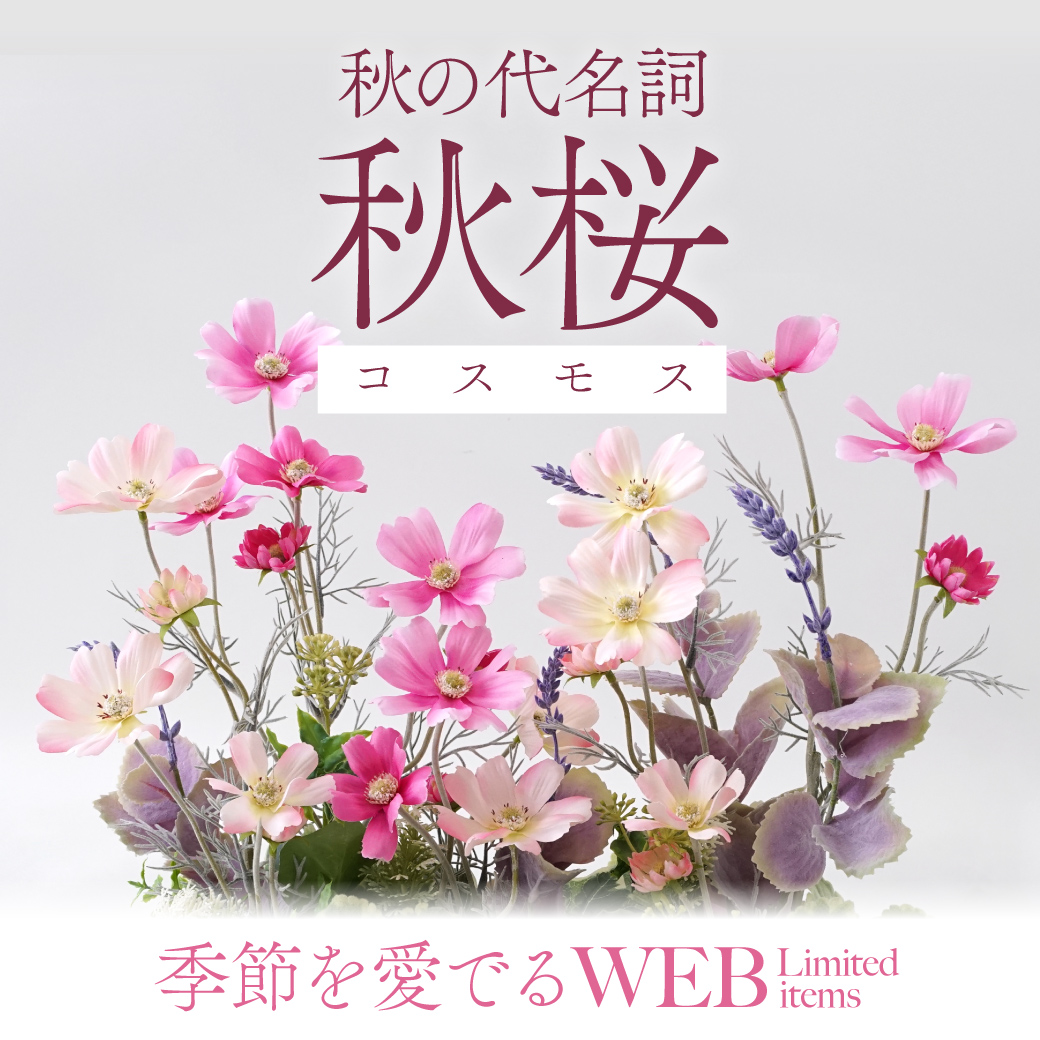 《オンライン限定》毎年人気のコスモスアレンジメント入荷
