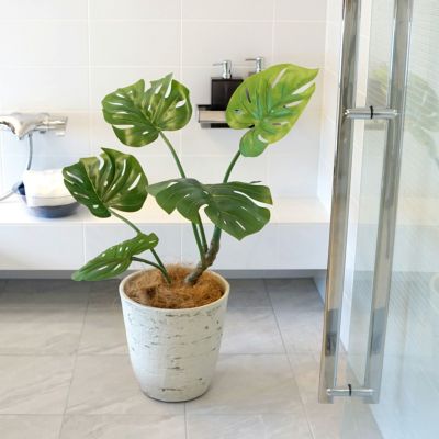 光触媒　人工観葉植物　ウォールグリーン　フェイクグリーン　ツイストパキラ2.1 光触媒 観葉植物 フェイクグリーン 人工観葉植物 大型