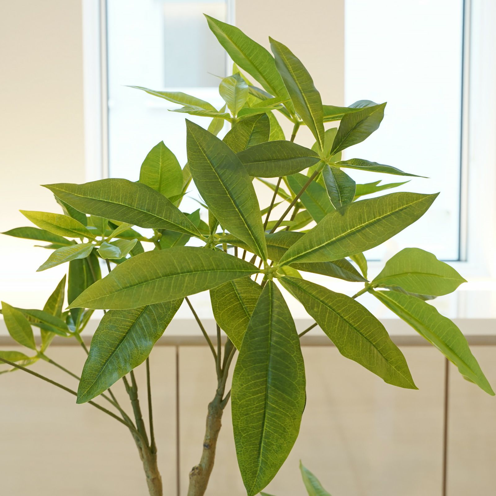 パキラ フェイクグリーン [59] 高さ130cm 観葉植物 開店祝い エコ