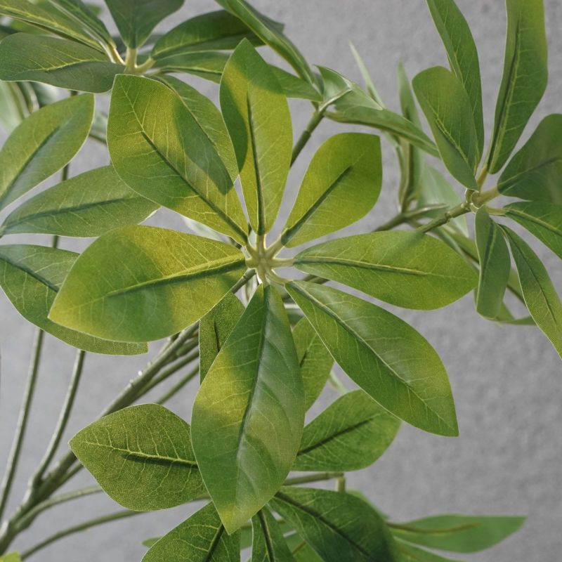 《高さ３段階調節OK》 シェフレラ インテリアグリーン[90]