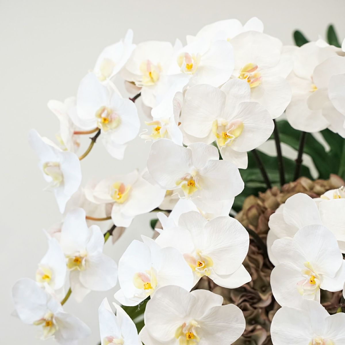 《ワンランク上のご贈答に》ファレノプシスアレンジ[P-23] BA