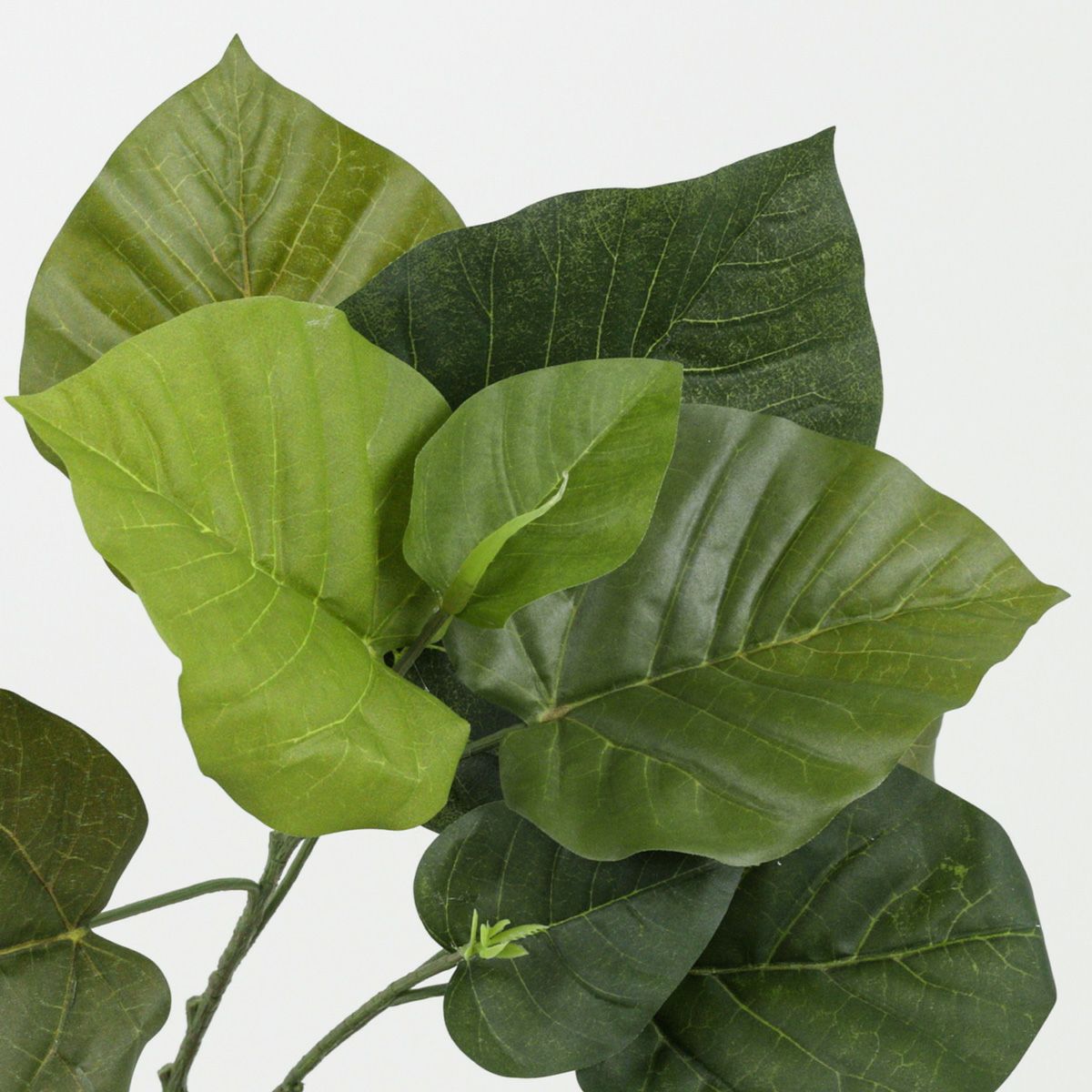 ツイストウンベラータ フェイクグリーン[98] BA