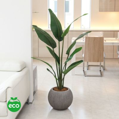 オーガスタ フェイクグリーン [100] BA 高さ150cm 観葉植物 開店祝い エコ