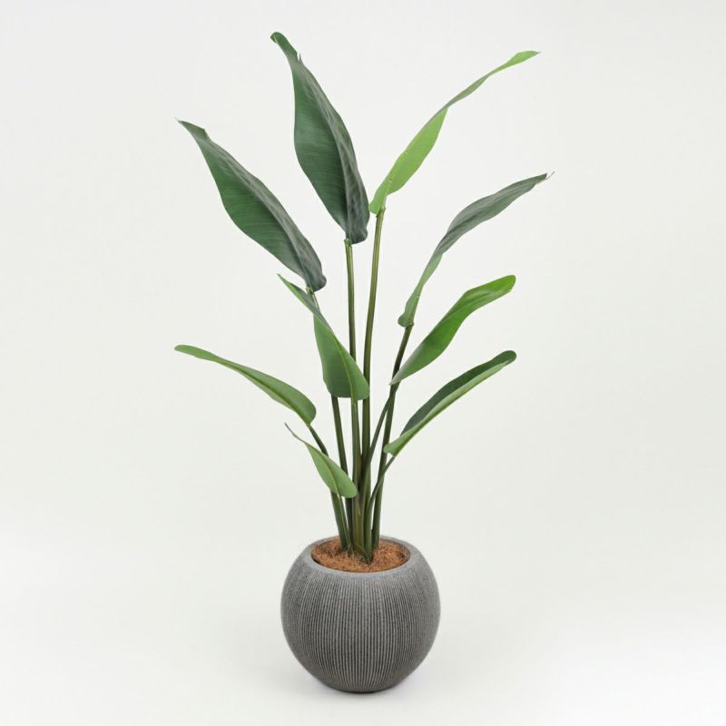 140cm フェイクグリーン 観葉植物 オーガスタ 癒し インテリア オフィス 楽天市場】人工観葉植物 フェイクグリーン 観葉植物