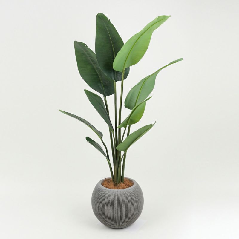 10%OFF】オーガスタ フェイクグリーン [100] BA 高さ150cm 観葉