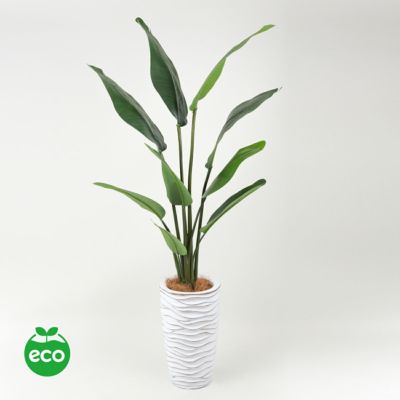 オーガスタ フェイクグリーン [101] BA 観葉植物 開店祝い エコ 大型商品