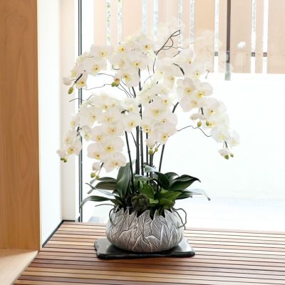 《ワンランク上のご贈答に》 ラン鉢 [41] BA アーティフィシャルフラワー 造花 開店祝い