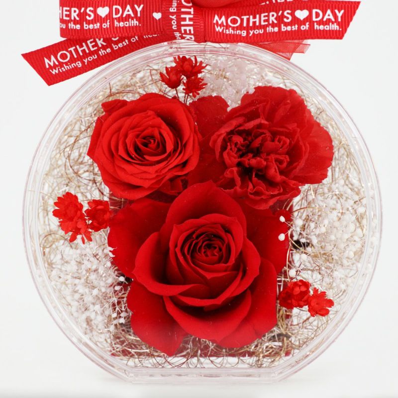 《Mother's day Gift》 プリザーブドフラワー [300][301] プレゼント 母の日