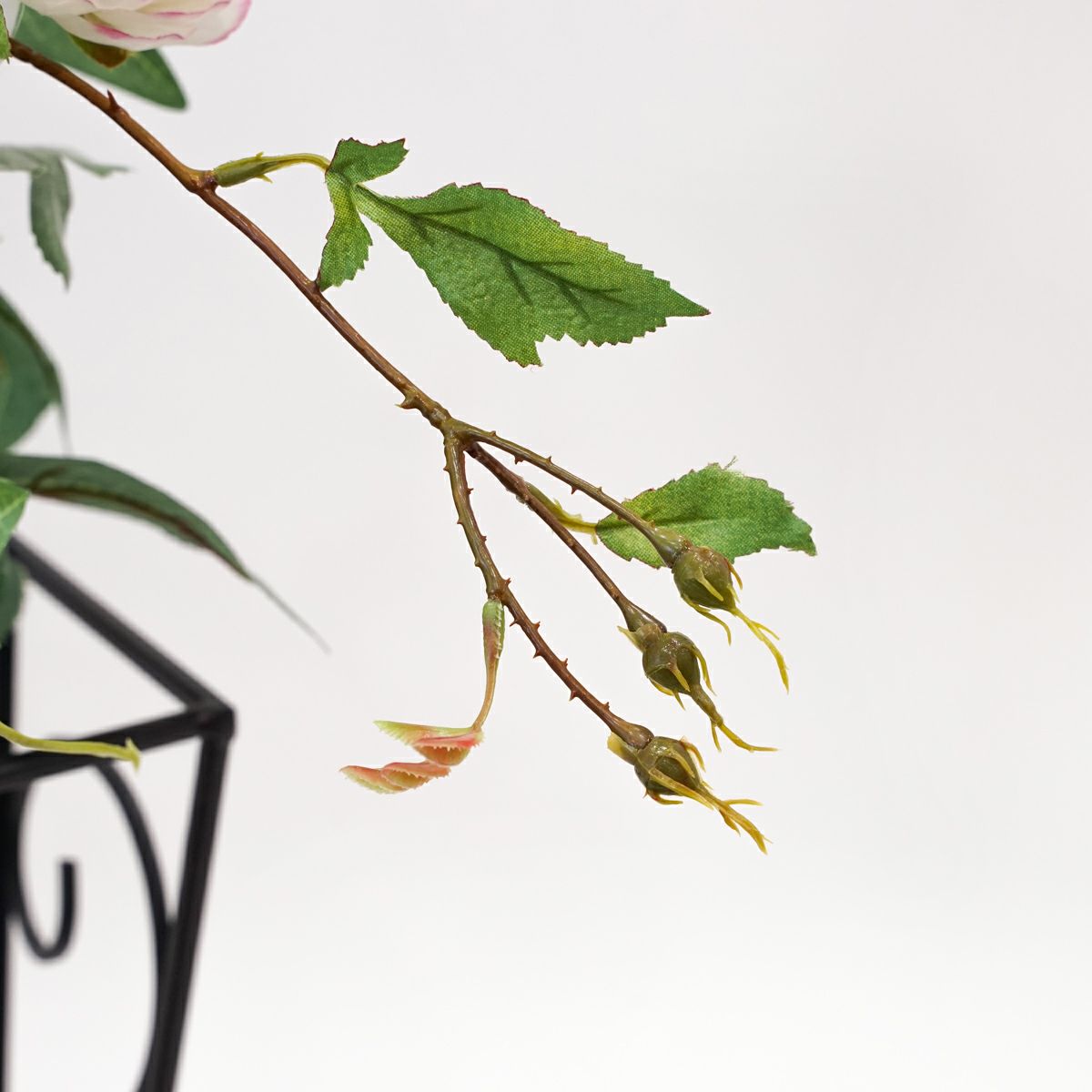 《オンライン限定》 ホワイトローズ アレンジメント [WEB427]