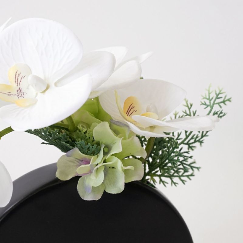 ファレノプシスアレンジ[42G]