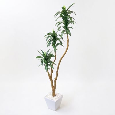 【30%OFF】《オンライン限定》ドラセナ フェイクグリーン 高さ111cm 観葉植物 開店祝い