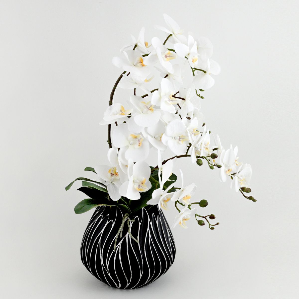 ファレノプシス アレンジメント [77E]