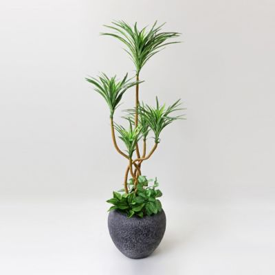 フェイクグリーン（人工観葉植物） | パレフローラ公式通販