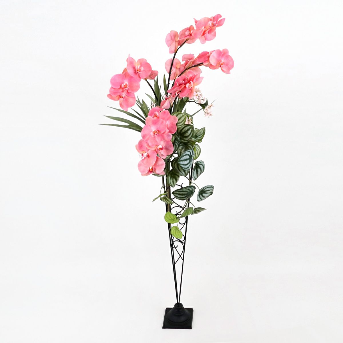 胡蝶蘭 アレンジメント [04] BA